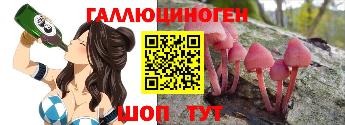 Галлюциногенные грибы Psilocybe Камышин